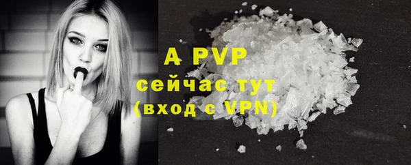 СК Верхний Тагил