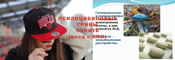 СК Верхний Тагил