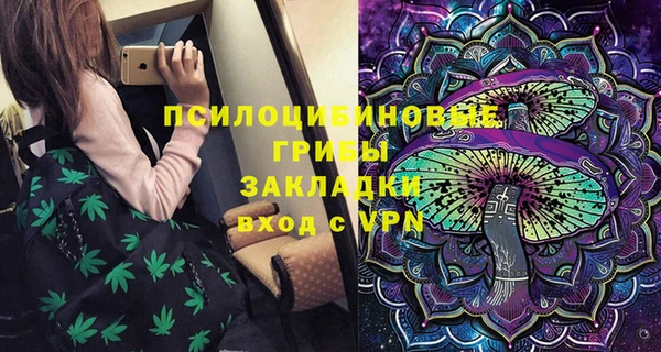 apvp Верея