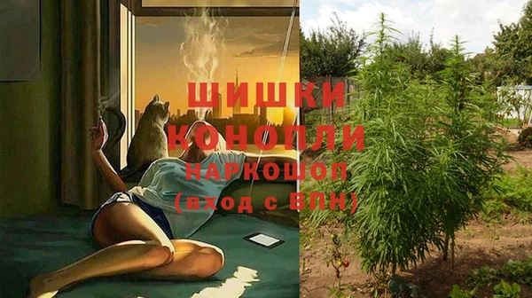 apvp Верея