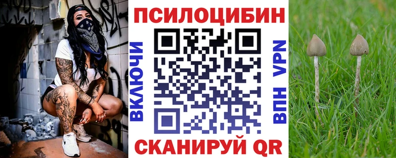 Псилоцибиновые грибы мухоморы  даркнет телеграм  Мглин  что такое наркотик 